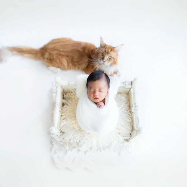 張寶兒沉痛發文痛失家中一分子 長文淚訴追憶：你最後還是離開了