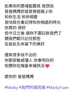 張寶兒沉痛發文痛失家中一分子 長文淚訴追憶：你最後還是離開了