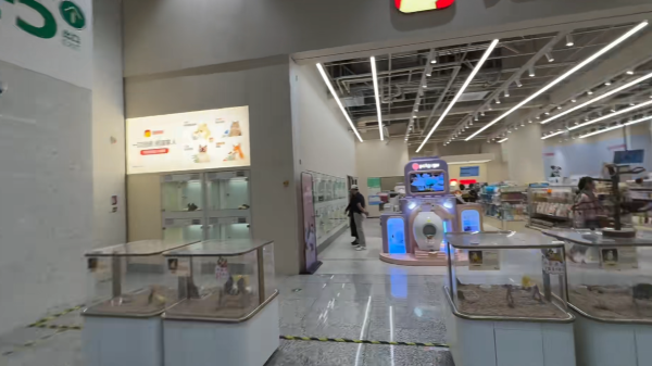 照片來源:小紅書@宠胖胖深圳之眼店 照片來源:小紅書@宠胖胖深圳之眼店