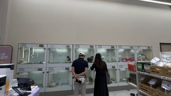 照片來源:小紅書@宠胖胖深圳之眼店 照片來源:小紅書@宠胖胖深圳之眼店