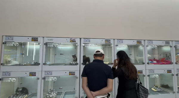 照片來源:小紅書@宠胖胖深圳之眼店 照片來源:小紅書@宠胖胖深圳之眼店