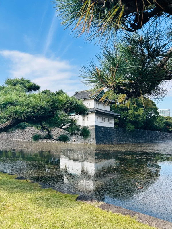 2026東京自由行|東京景點最強懶人包!分區30+必去打卡地圖交通攻略