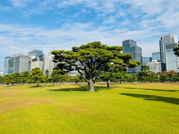 2026東京自由行|東京景點最強懶人包!分區30+必去打卡地圖交通攻略