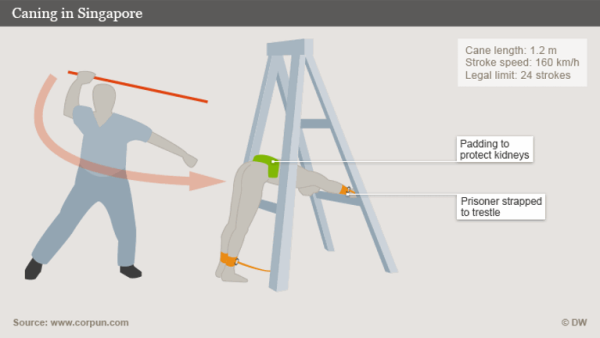 圖片來源:X @Will_Tanner_1 X @Will_Tanner_1