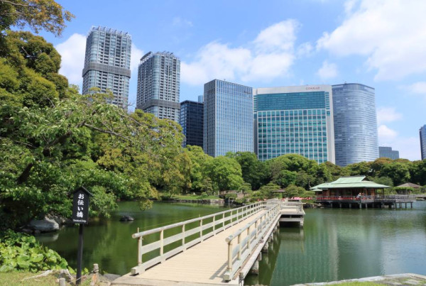 圖源:東京都公園協會 圖源:東京都公園協會