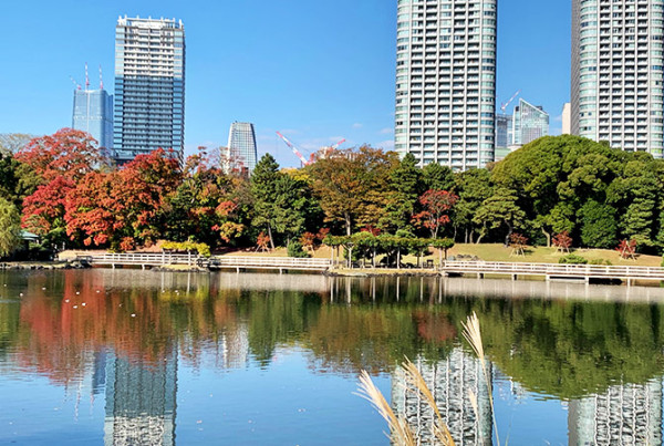 圖源:東京都公園協會 圖源:東京都公園協會