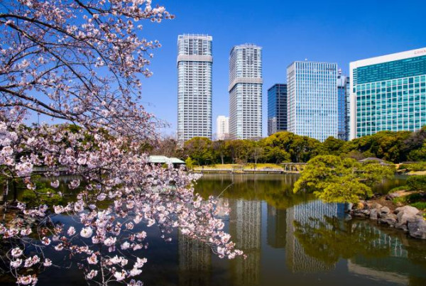 圖源:東京都公園協會 圖源:東京都公園協會
