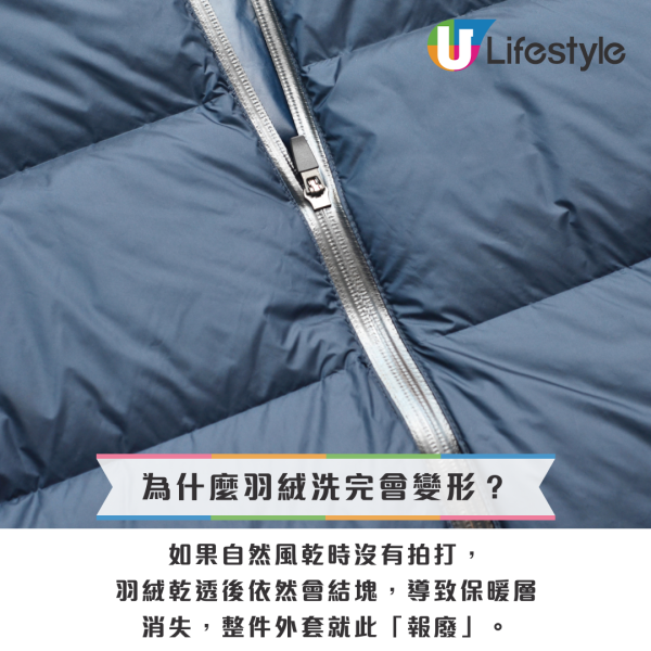 羽絨點洗？Uniqlo/名牌羽絨洗完變梅菜？官方認證「網球復活術」1招回復蓬鬆
