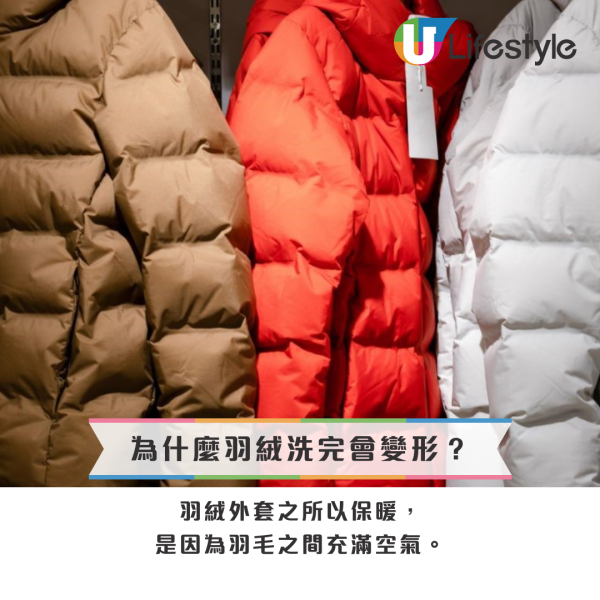 羽絨點洗？Uniqlo/名牌羽絨洗完變梅菜？官方認證「網球復活術」1招回復蓬鬆