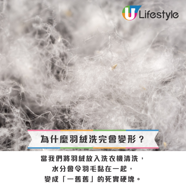 羽絨點洗？Uniqlo/名牌羽絨洗完變梅菜？官方認證「網球復活術」1招回復蓬鬆