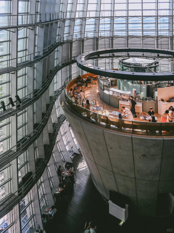 圖源:王一野@小紅書 圖源:王一野@小紅書