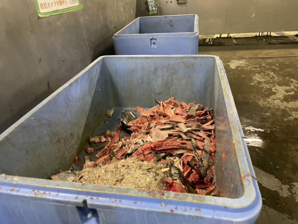 圖片來源:X @renya_mutaguchi 圖片來源:X @renya_mutaguchi