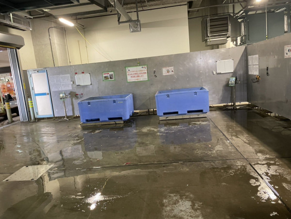 圖片來源:X @realmad_penis 圖片來源:X @realmad_penis