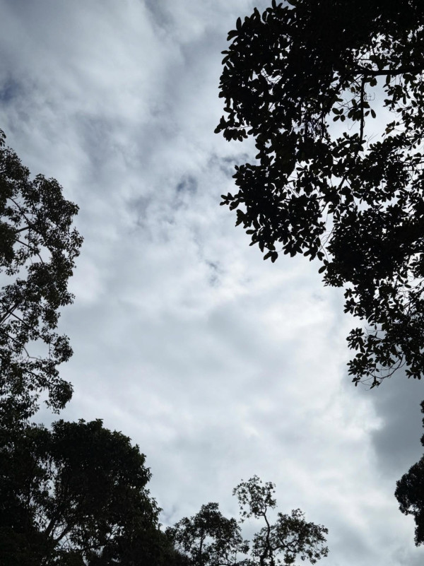 大埔火災|鄭秀文被批鬥「淨係識祈禱唔捐錢」IG罕有撰千字文反擊!認已低調捐100萬