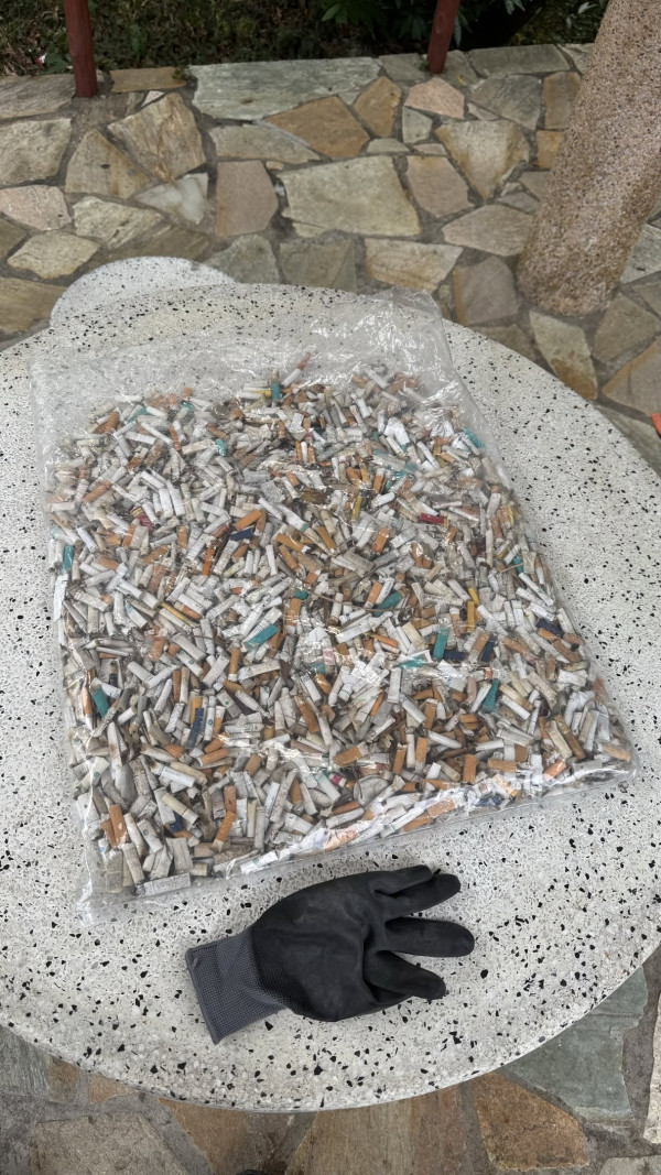 飛鵝山變「煙頭山」義工單日撿逾2000支煙蒂！漁護署：今年發出32張涉事罰單