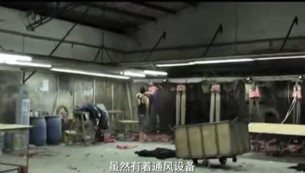 照片來源：小紅書@雲竹基因風格色彩