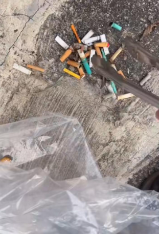 飛鵝山變「煙頭山」義工單日撿逾2000支煙蒂！漁護署：今年發出32張涉事罰單