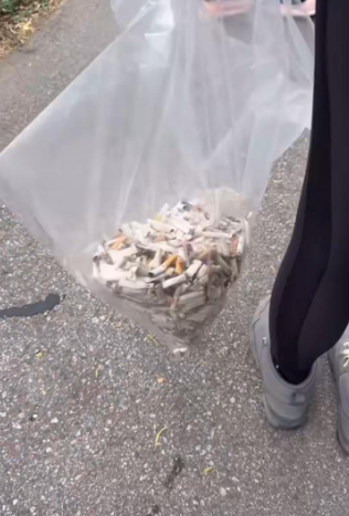 飛鵝山變「煙頭山」義工單日撿逾2000支煙蒂！漁護署：今年發出32張涉事罰單