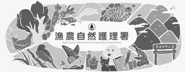 飛鵝山變「煙頭山」義工單日撿逾2000支煙蒂！漁護署：今年發出32張涉事罰單