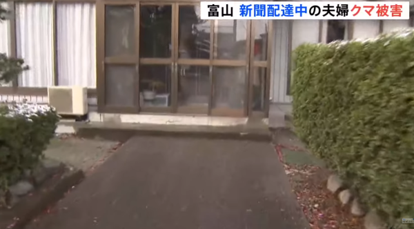 日本熊患未止｜單日5宗熊襲5人受傷！夫妻半夜遭熊攻擊浴血 男子徒手擊退猛獸 