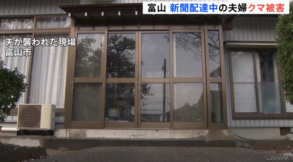 日本熊患未止｜單日5宗熊襲5人受傷！夫妻半夜遭熊攻擊浴血 男子徒手擊退猛獸 