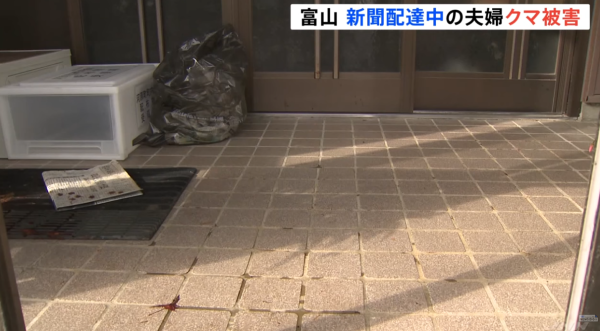 日本熊患未止｜單日5宗熊襲5人受傷！夫妻半夜遭熊攻擊浴血 男子徒手擊退猛獸 