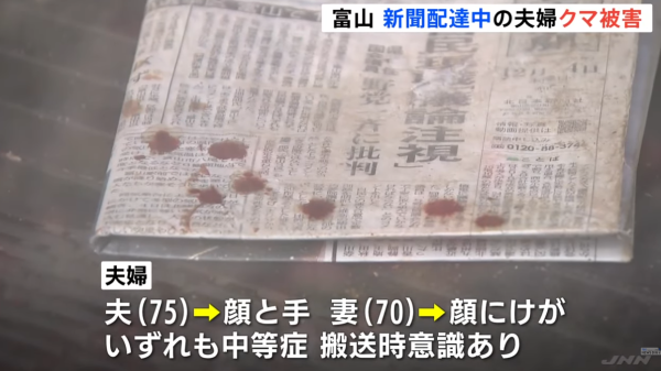日本熊患未止｜單日5宗熊襲5人受傷！夫妻半夜遭熊攻擊浴血 男子徒手擊退猛獸 