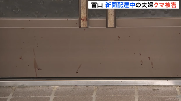 日本熊患未止｜單日5宗熊襲5人受傷！夫妻半夜遭熊攻擊浴血 男子徒手擊退猛獸 