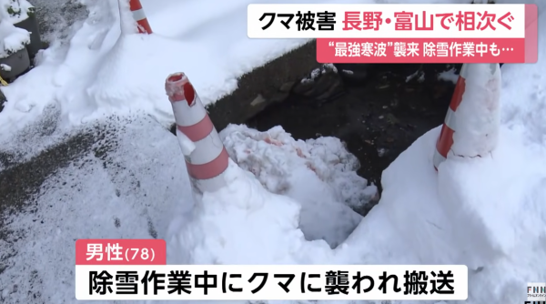 日本熊患未止｜單日5宗熊襲5人受傷！夫妻半夜遭熊攻擊浴血 男子徒手擊退猛獸 