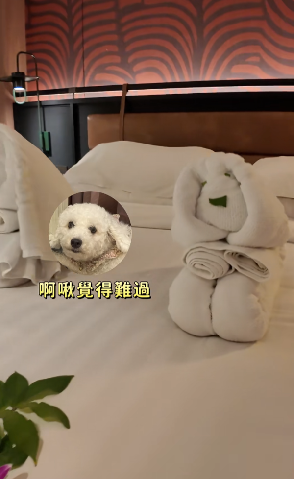 照片來源:小紅書@你的好姐妹Abby 照片來源:小紅書@你的好姐妹Abby