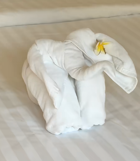 照片來源:小紅書@神奇的絡繹 照片來源:小紅書@神奇的絡繹