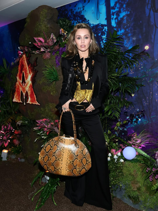 圖片來源：IG@mileycyrus