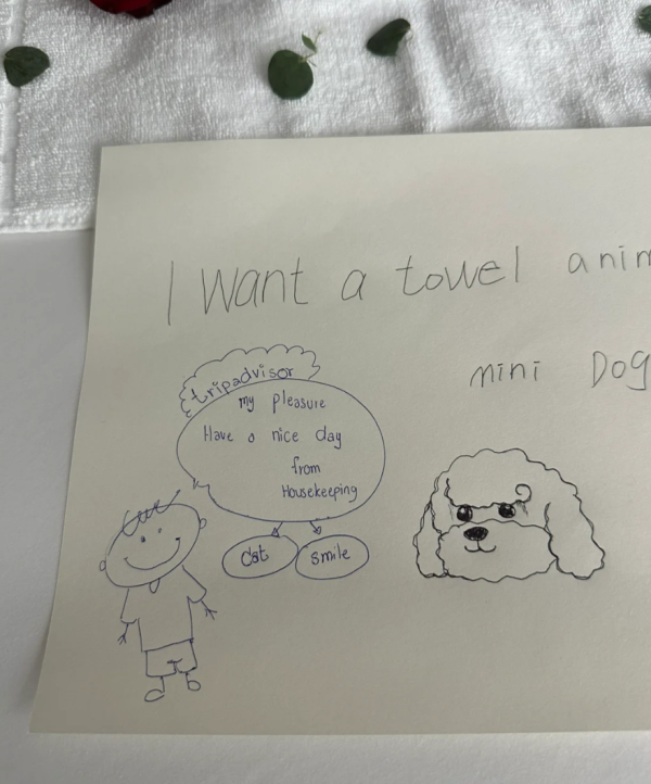 照片來源:小紅書@泰國小眾分享 照片來源:小紅書@泰國小眾分享