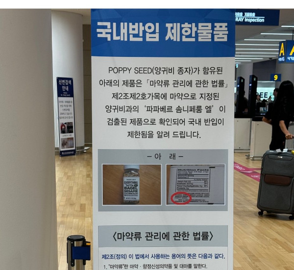 外遊注意!1款熱門手信屬違禁品?台灣/南韓都禁止入境!小心被沒收罰款