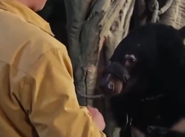 照片來源：微博@澎湃新聞