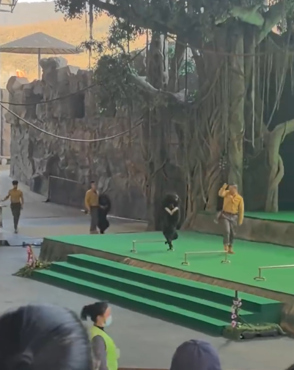 照片來源：微博@鷺棲花園