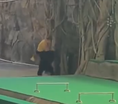 照片來源：微博@鷺棲花園