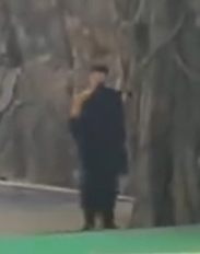 照片來源：微博@鷺棲花園