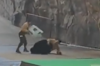 照片來源：微博@鷺棲花園