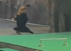 照片來源：微博@鷺棲花園