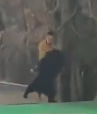 照片來源：微博@鷺棲花園