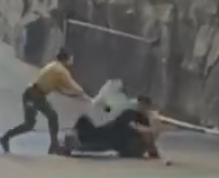 照片來源：微博@鷺棲花園