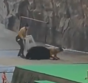 照片來源：微博@鷺棲花園