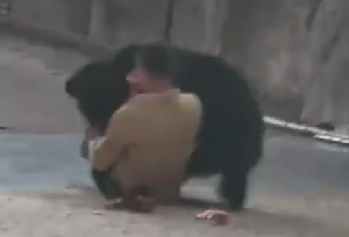 照片來源：微博@鷺棲花園