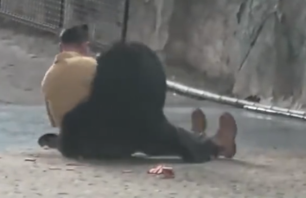 照片來源：微博@鷺棲花園