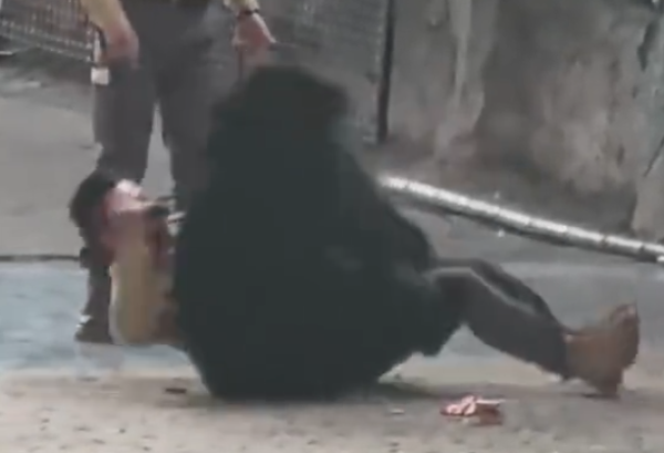 照片來源：微博@鷺棲花園