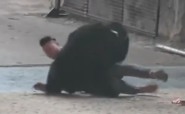 照片來源：微博@鷺棲花園