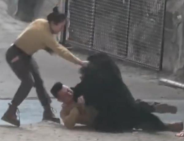 照片來源：微博@鷺棲花園