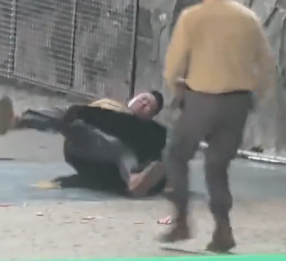 照片來源：微博@鷺棲花園