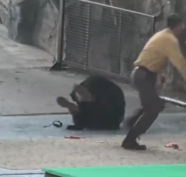 照片來源：微博@鷺棲花園